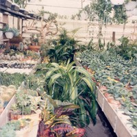 Original Greenhouse